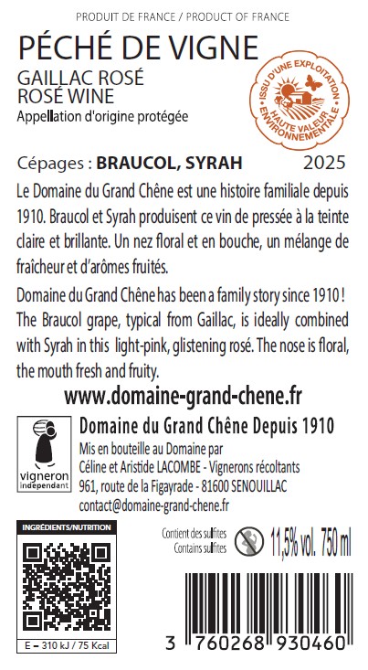 Péché de Vigne 2025 - Rosé AOP Gaillac – Image 3