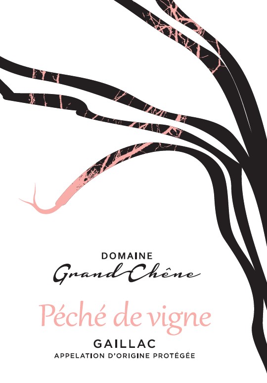 Péché de Vigne 2025 - Rosé AOP Gaillac – Image 2
